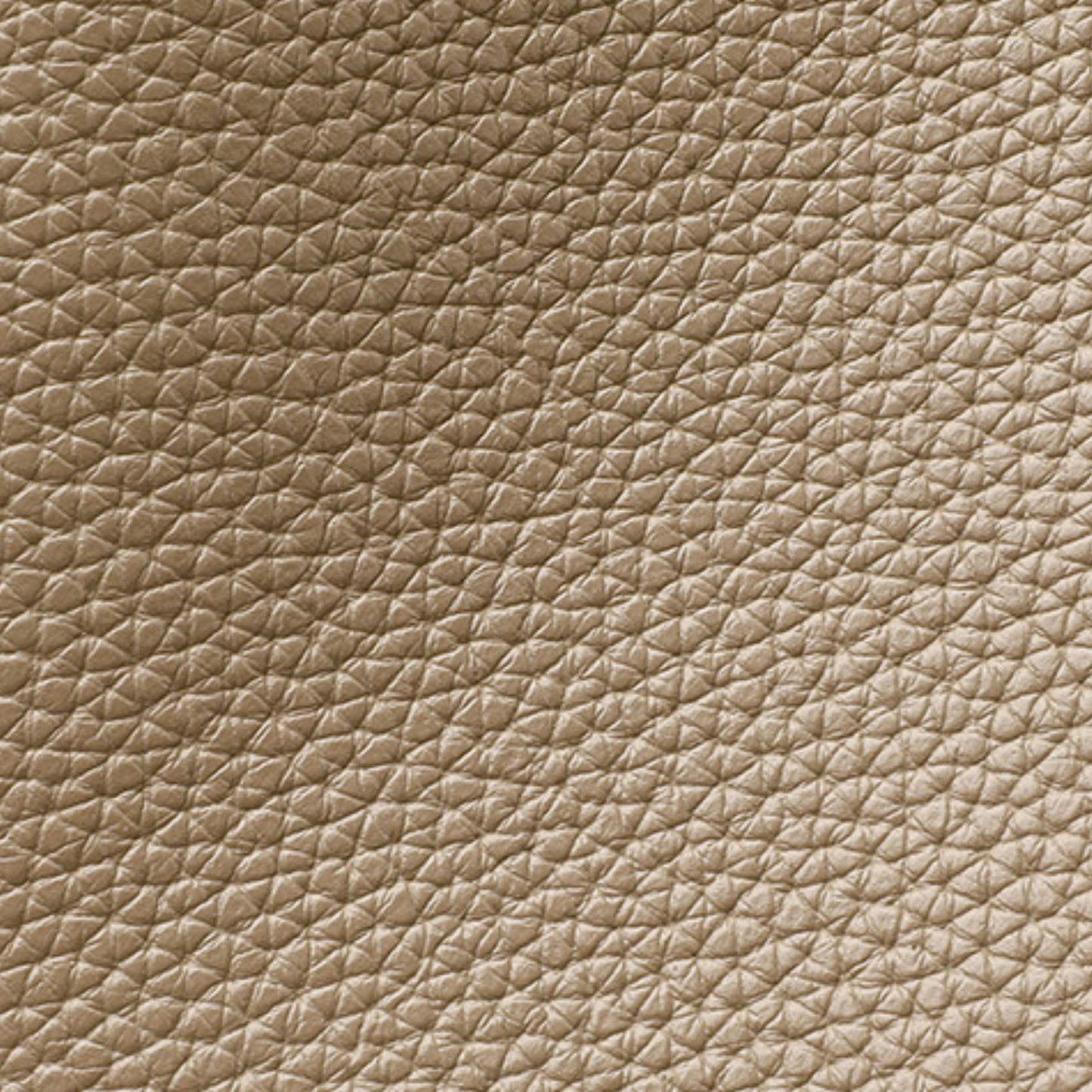 Anastasie Luxe Handbag