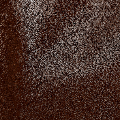 Belle Rivière Handbag