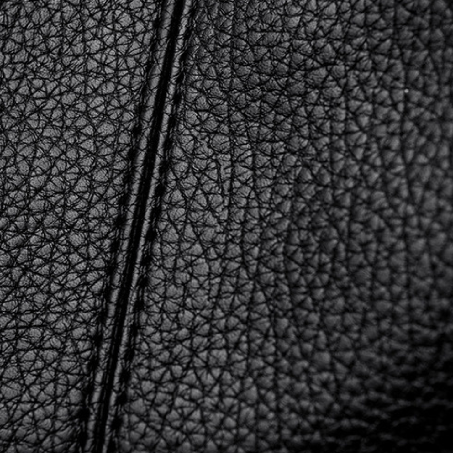 Majesté Dorée Handbag